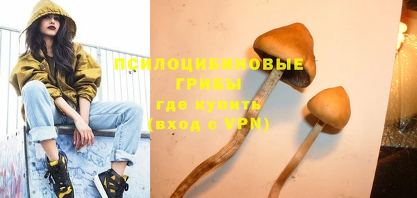 Альфа ПВП Лагань