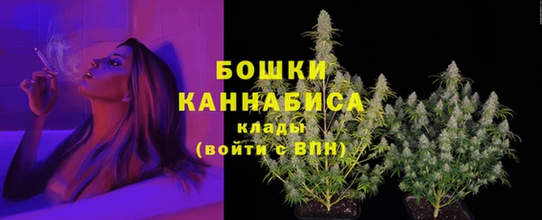 Альфа ПВП Лагань