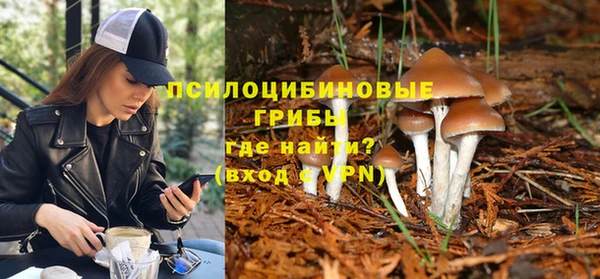 Альфа ПВП Лагань