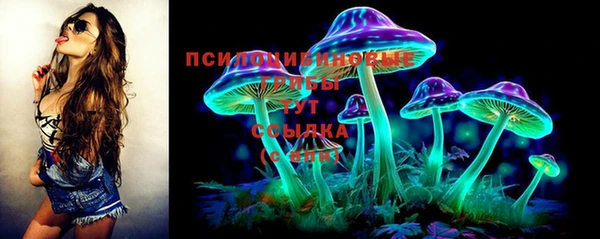 соль курить ск Лабытнанги