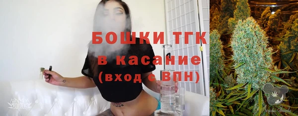 гидра Алексеевка
