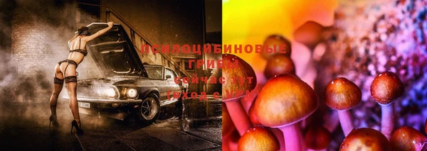 соль курить ск Лабытнанги
