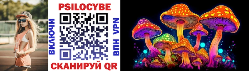 Галлюциногенные грибы MAGIC MUSHROOMS  закладка  Новоузенск 